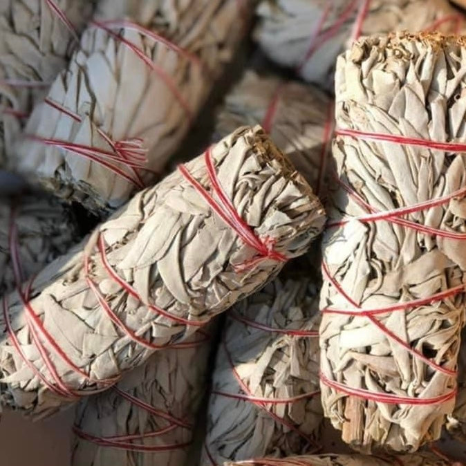 White Sage Smudge Wholesale
