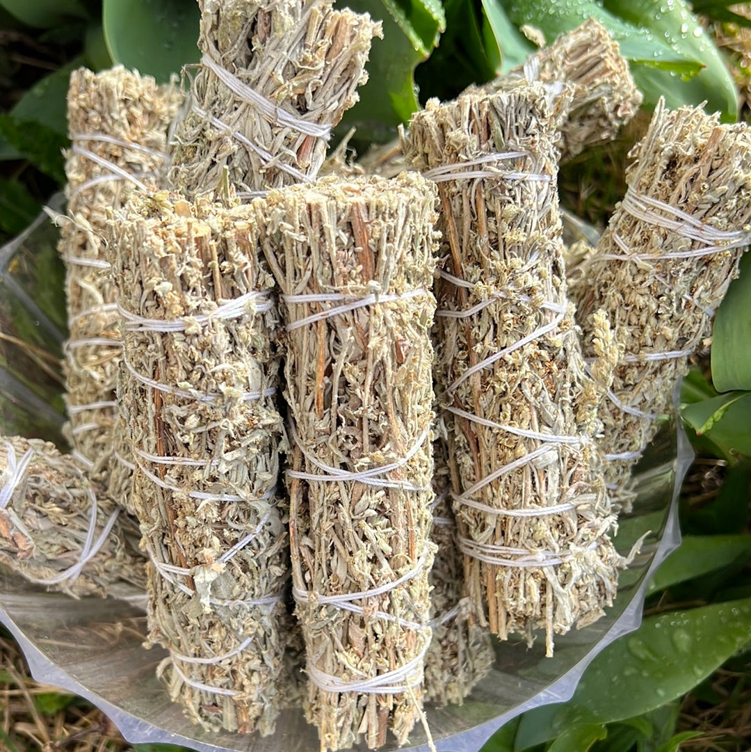 Salvia negra - Artemisia vulgaris