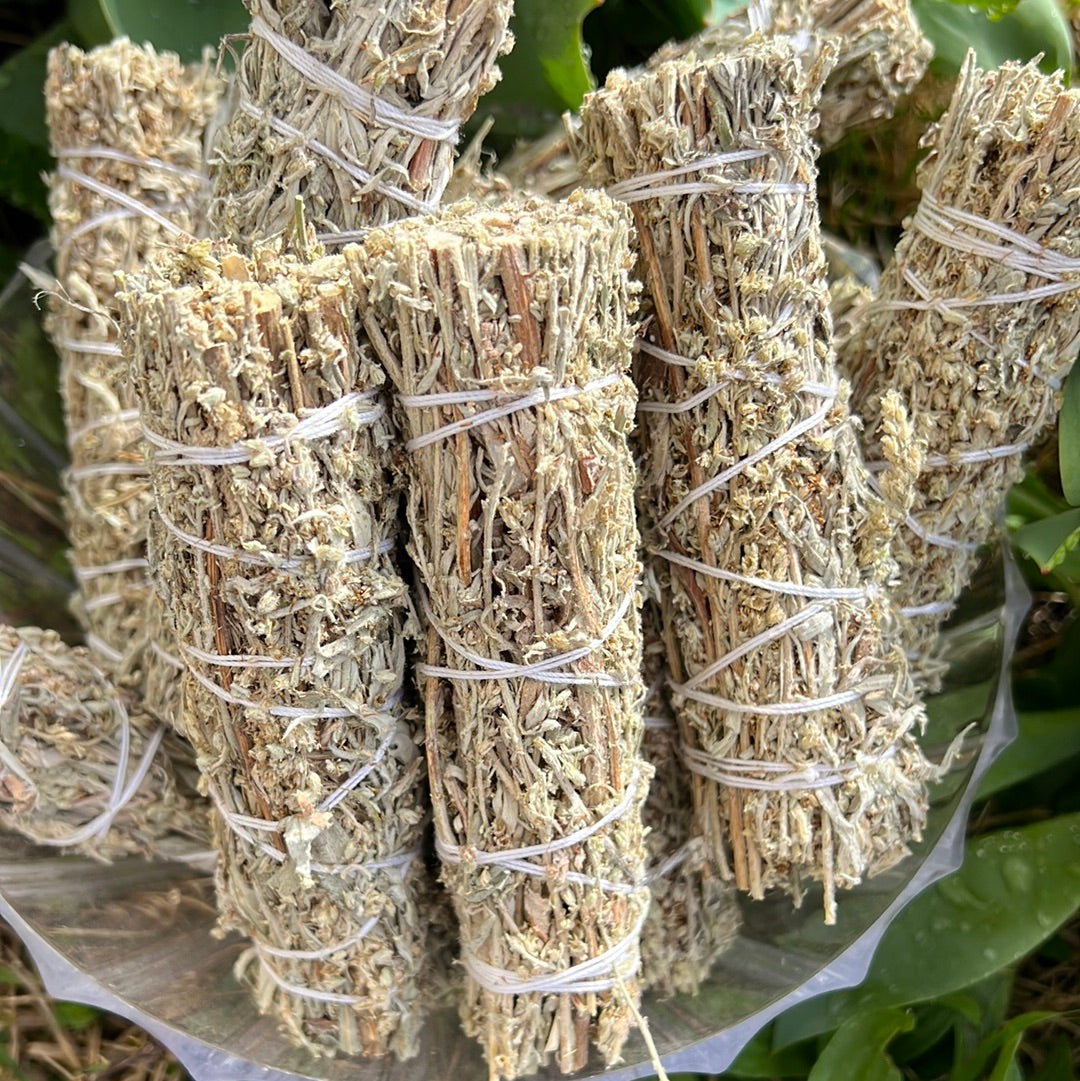 Salvia negra - Artemisia vulgaris