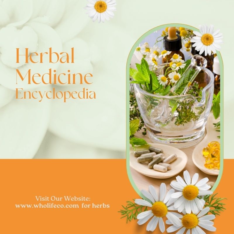 Encyclopedia of Herbal Medicine
