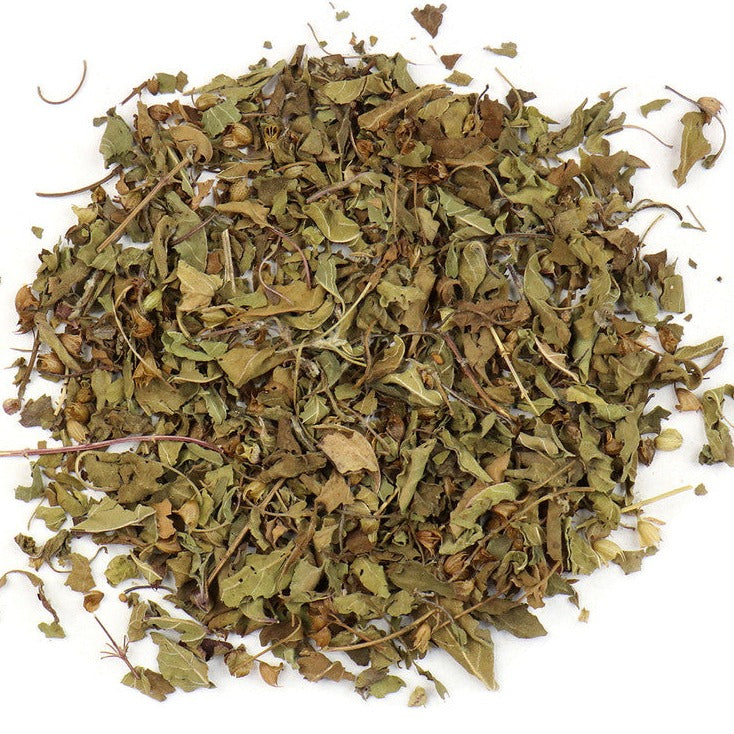 Tulsi or Holy Basil