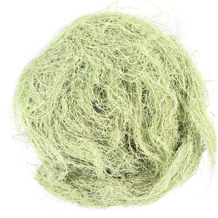 usnea lichen
