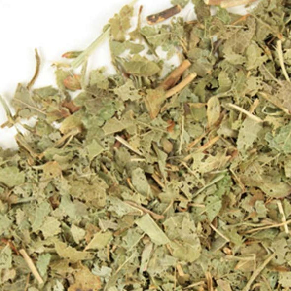 bilberry leaf benefits