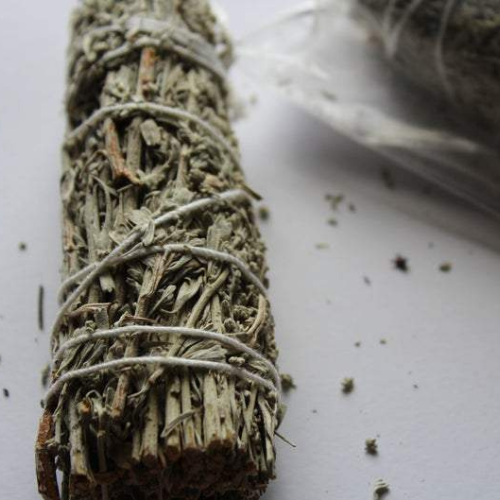 California white sage