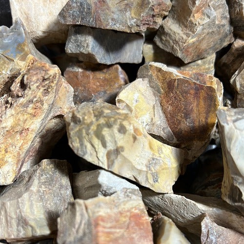 petrified wood