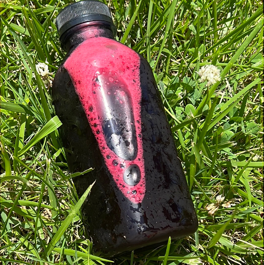 hibiscus flower detox drink