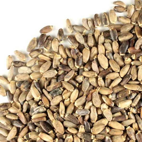milk thistle seed