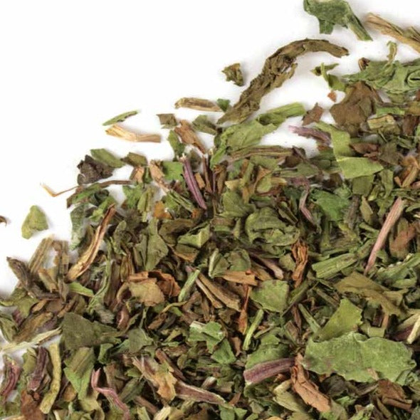 Hoja de diente de león - Orgánica