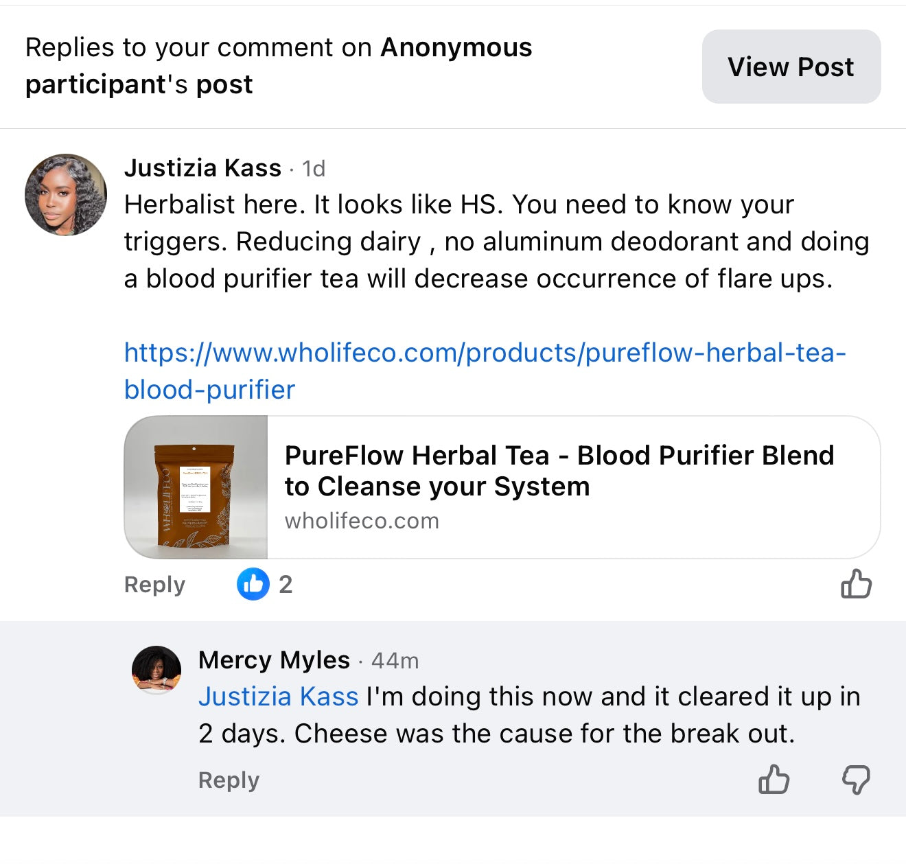 PureFlow Herbal Tea - Blood Purifier & Builder