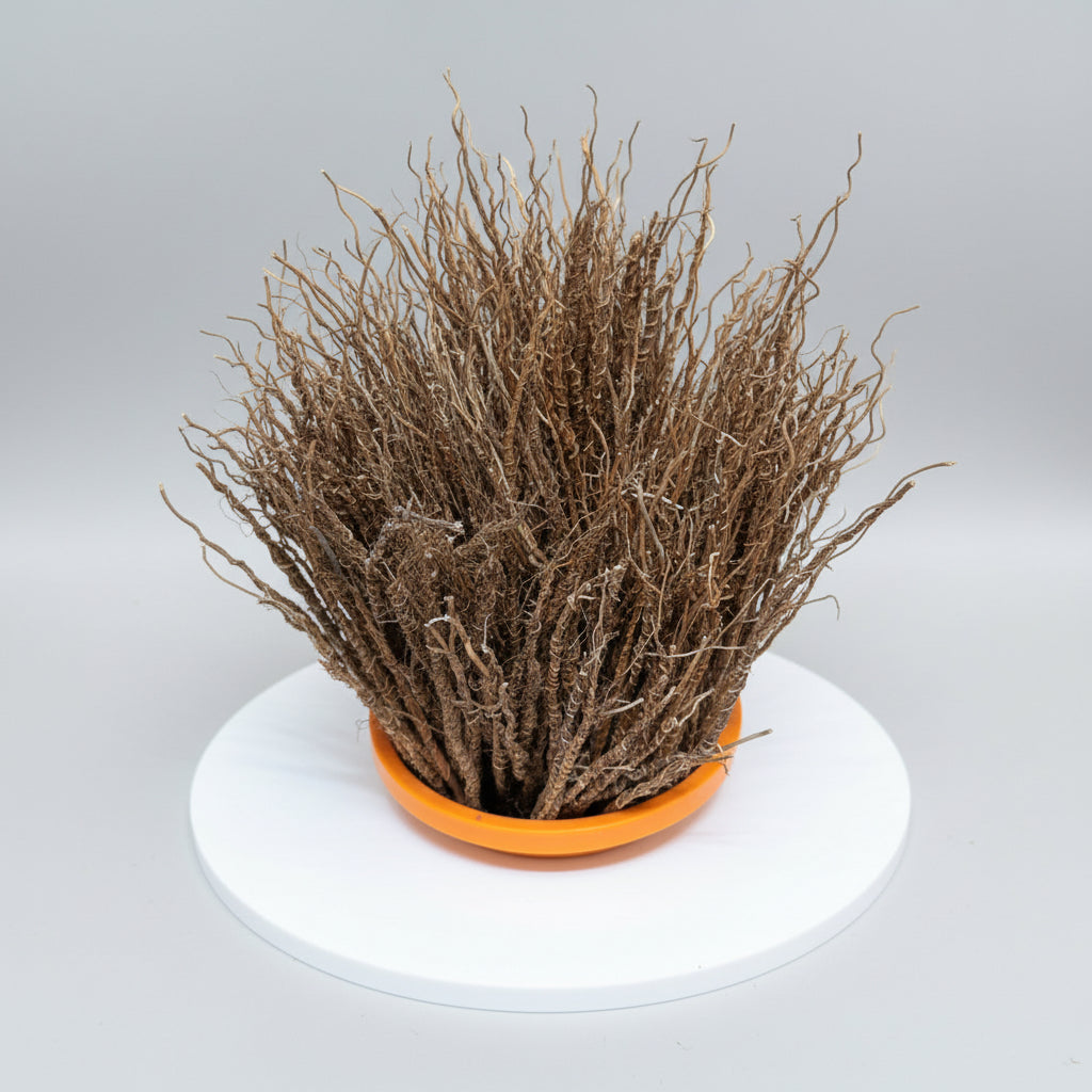 Gongoli West African vetiver root