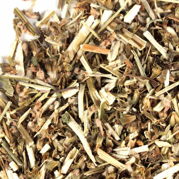 motherwort herb