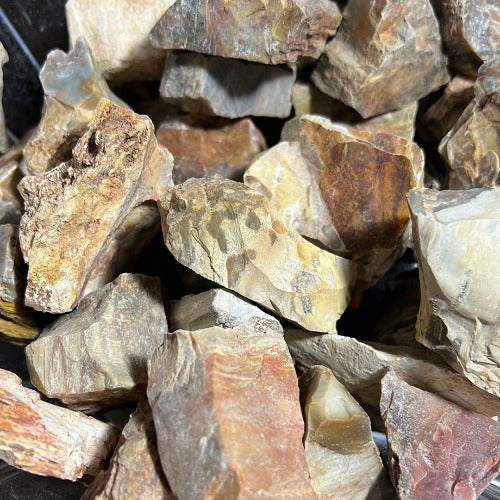 petrified wood healing stone