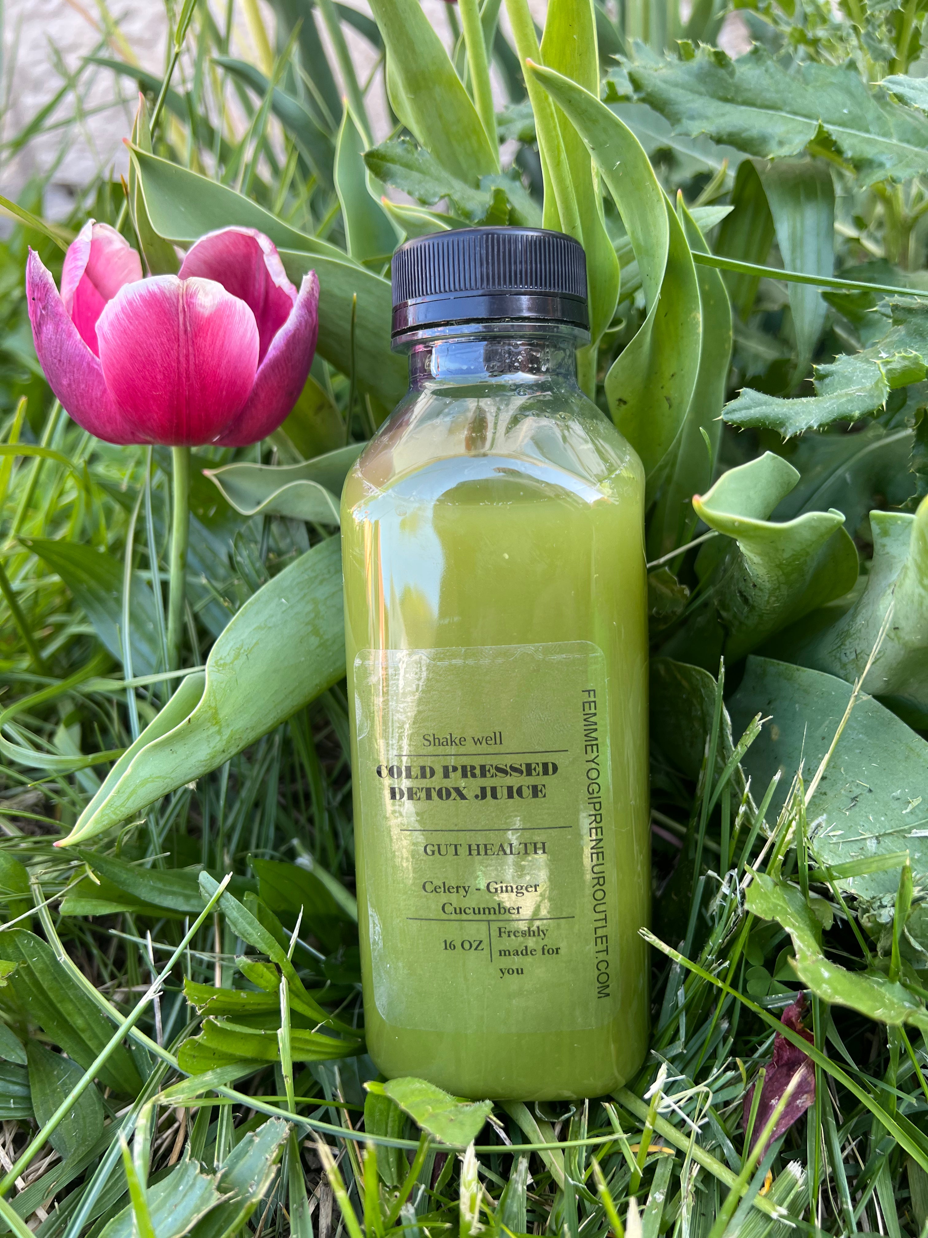 green detox juices by femme yogipreneur 