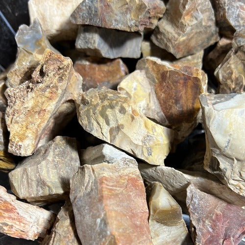 petrified wood stone