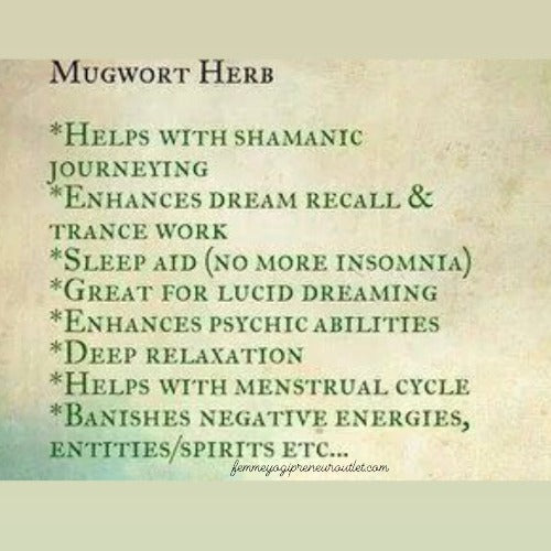 Mugwort herb benefits