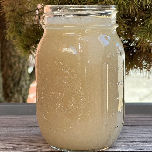 plain sea moss gel