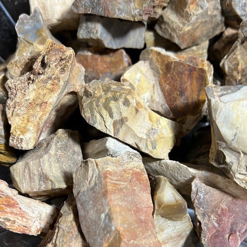 petrified wood