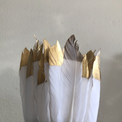 angel smudge feather