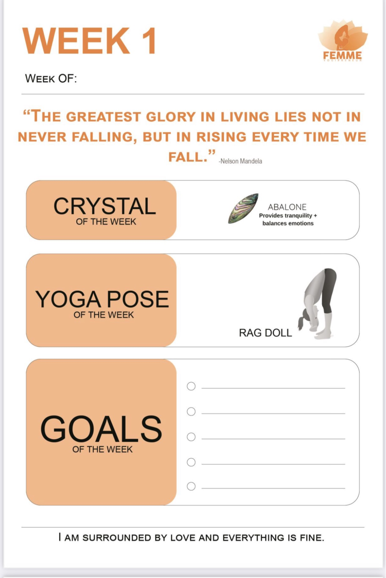 New year goal diary